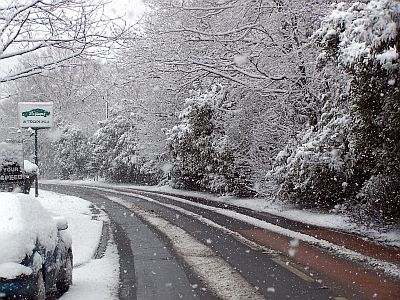 Turners Hill Road